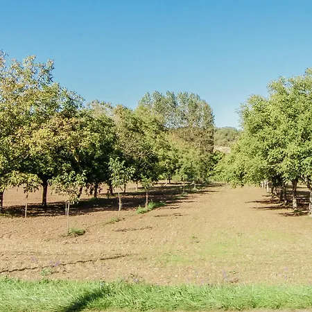Villa House In Perigord Noir With Private Pool, Cleaning Included